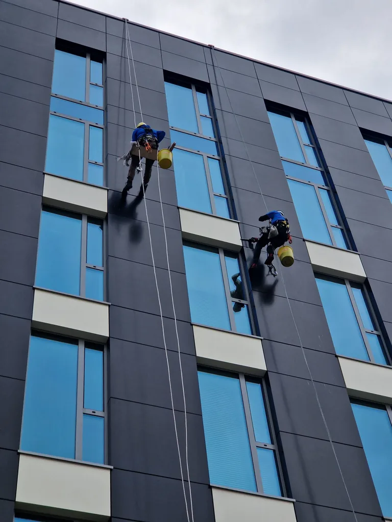 Deux cordistes en descente le long d'une façade vitrée, cordes verticales au droit de chaque descente
