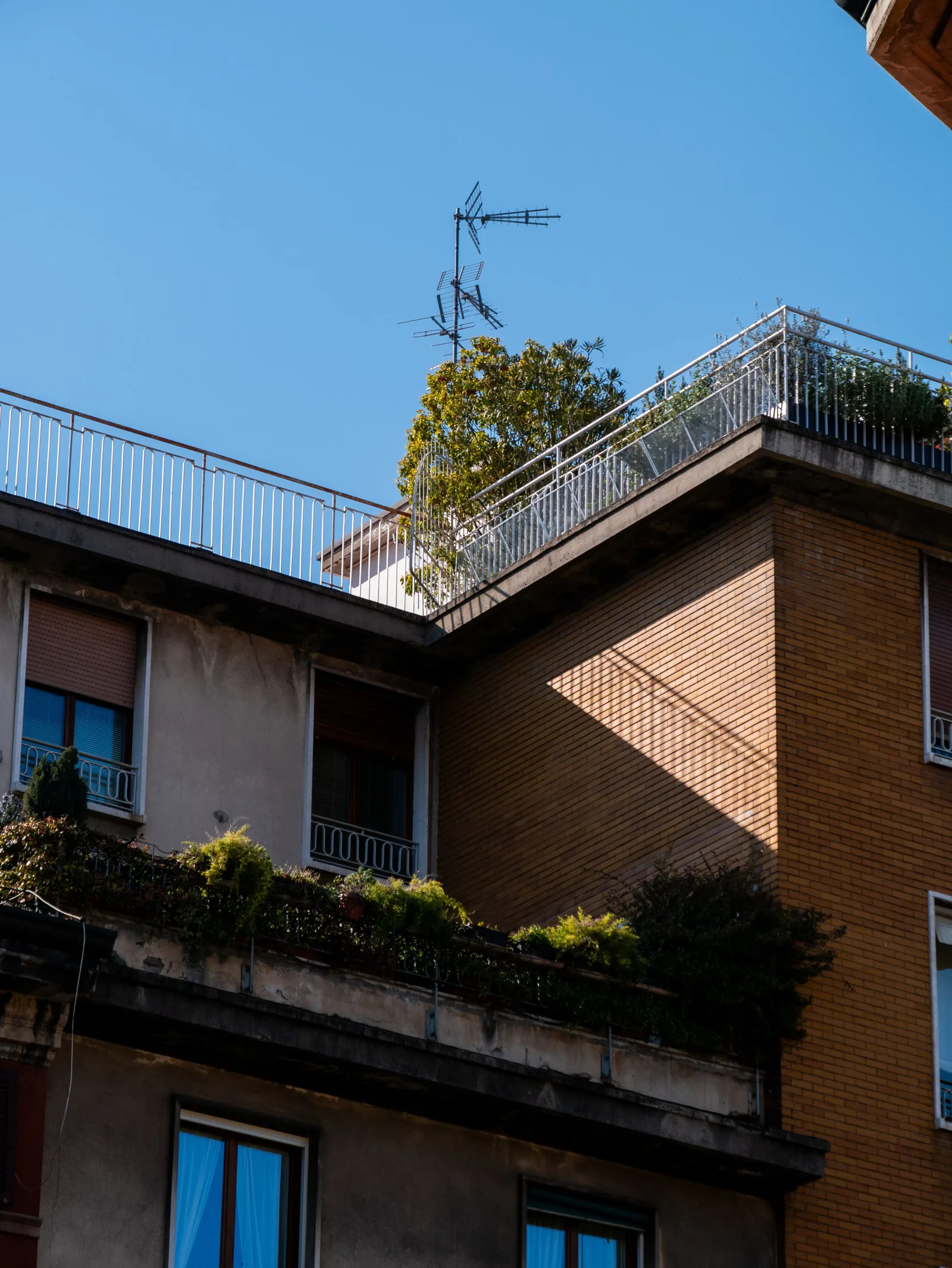 Garde-corps en rive de toiture d'un immeuble ancien, visible depuis la rue, avec antenne et végétation en terrasse