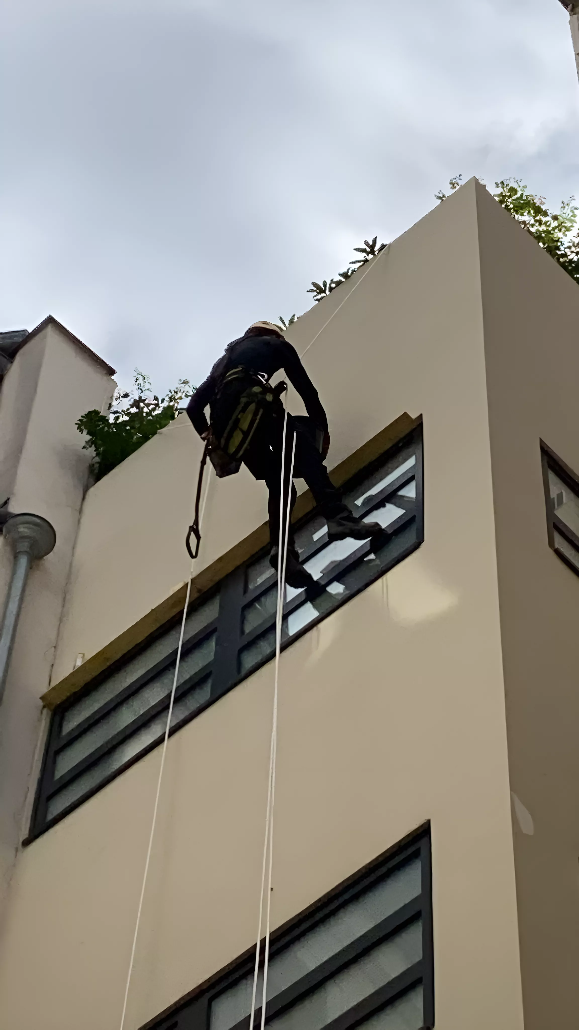 Cordiste intervenant sur les menuiseries d'une façade sur cour