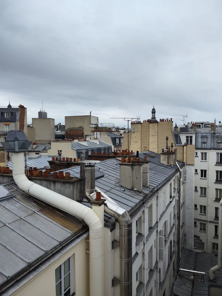 Toiture en zinc d'un immeuble haussmannien avec lucarnes et souches, accès par les combles